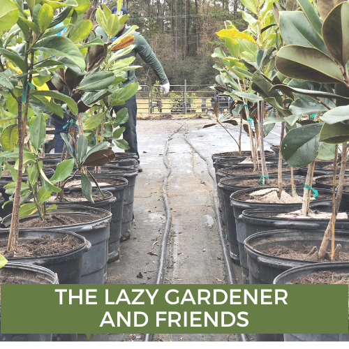 Lazy Gardener.png