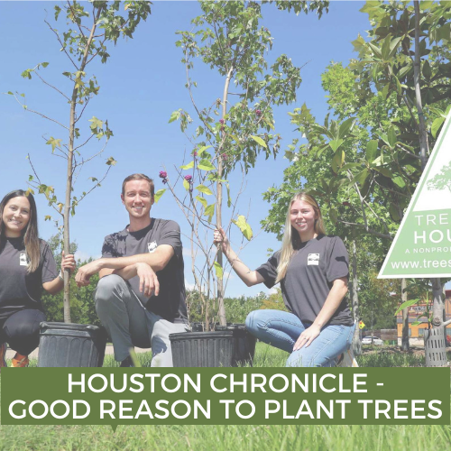 Planting Team - Chronicle