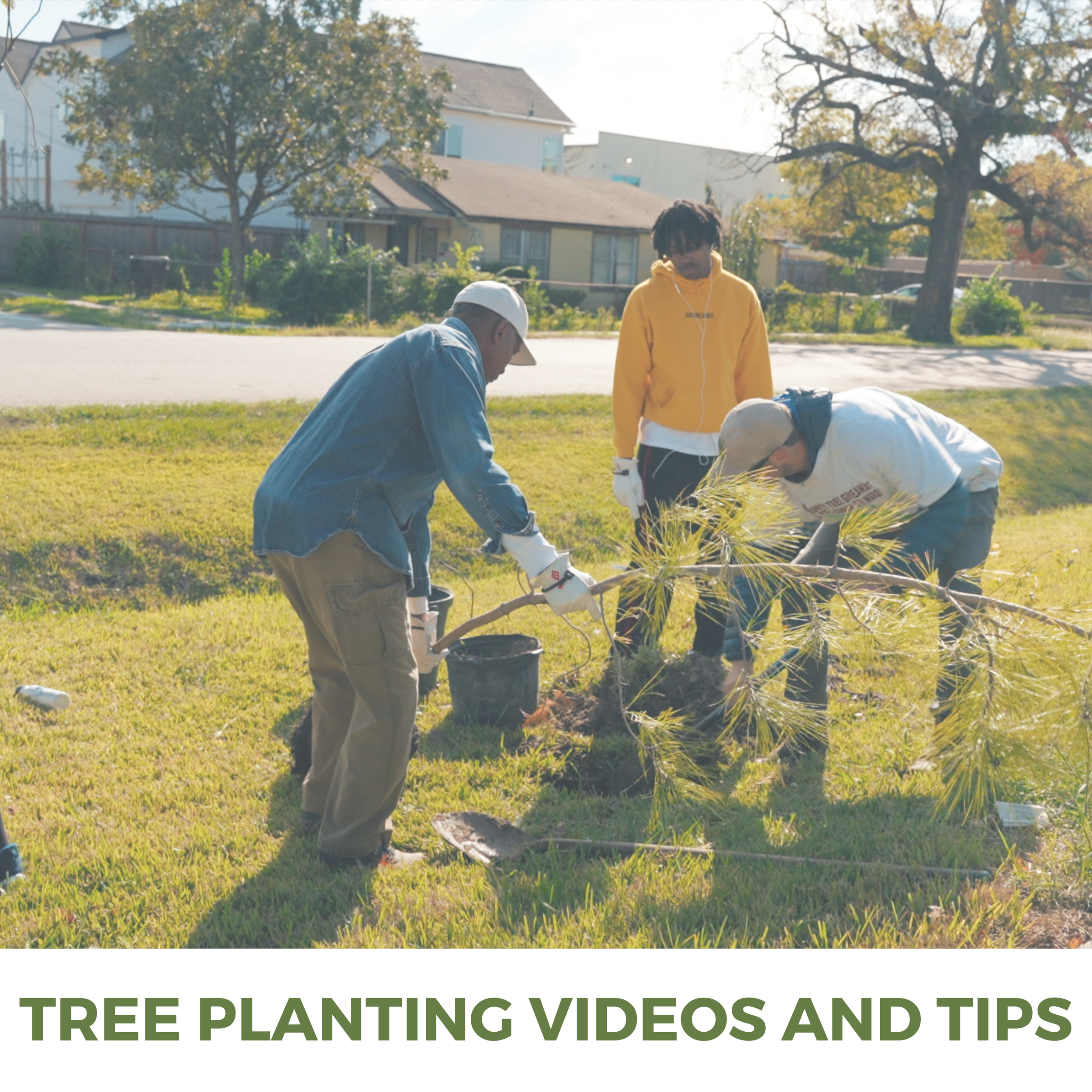 Tree Planting Videos and Tips.png