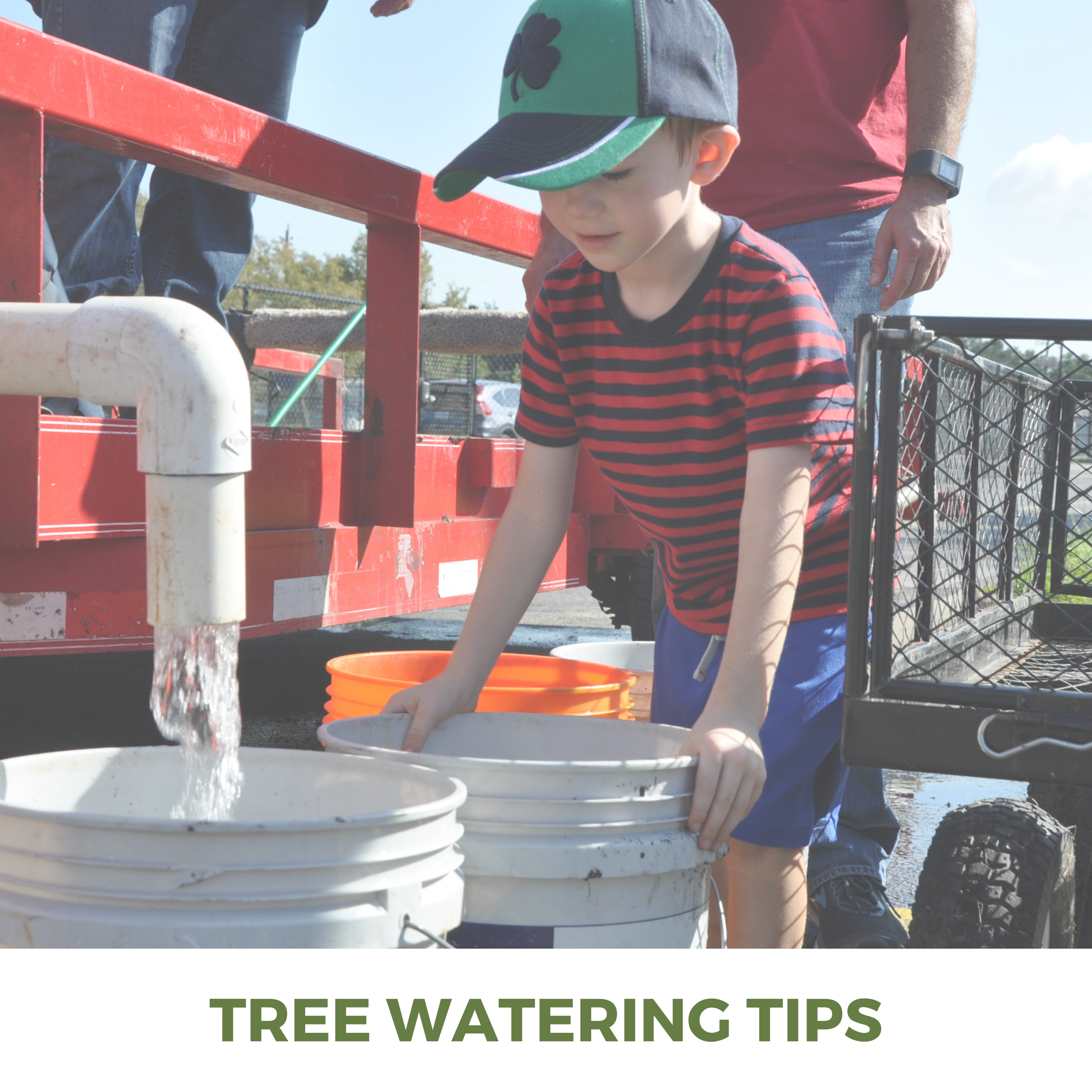 Tree Watering Tips.png