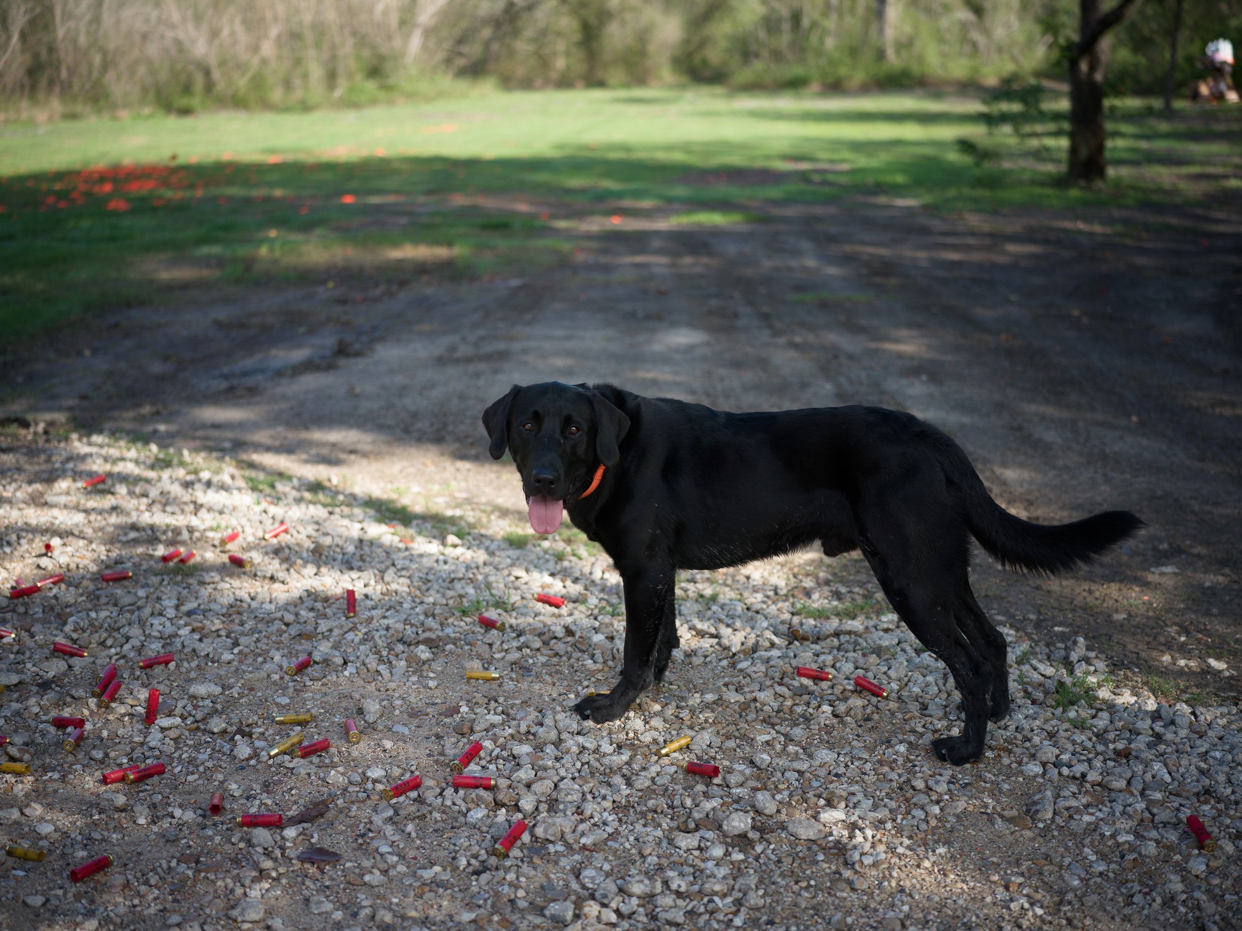 _TreesForHoustonClayShoot_DOrtizPhoto_101323-135.jpg