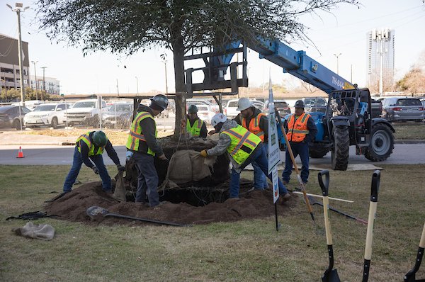 193_TreesforHoustonMillionth_DanielOrtizPhoto_020526.jpg