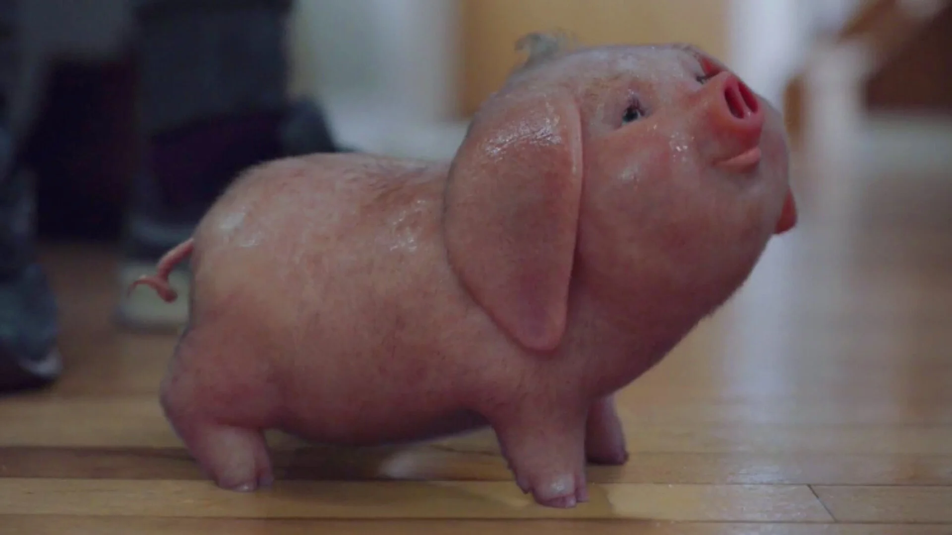Piggy Cover Image.jpg