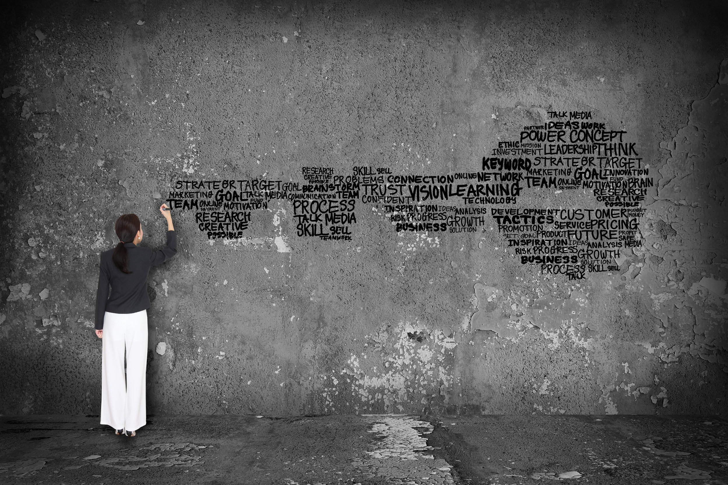 Understanding Organizational Capacity is Key