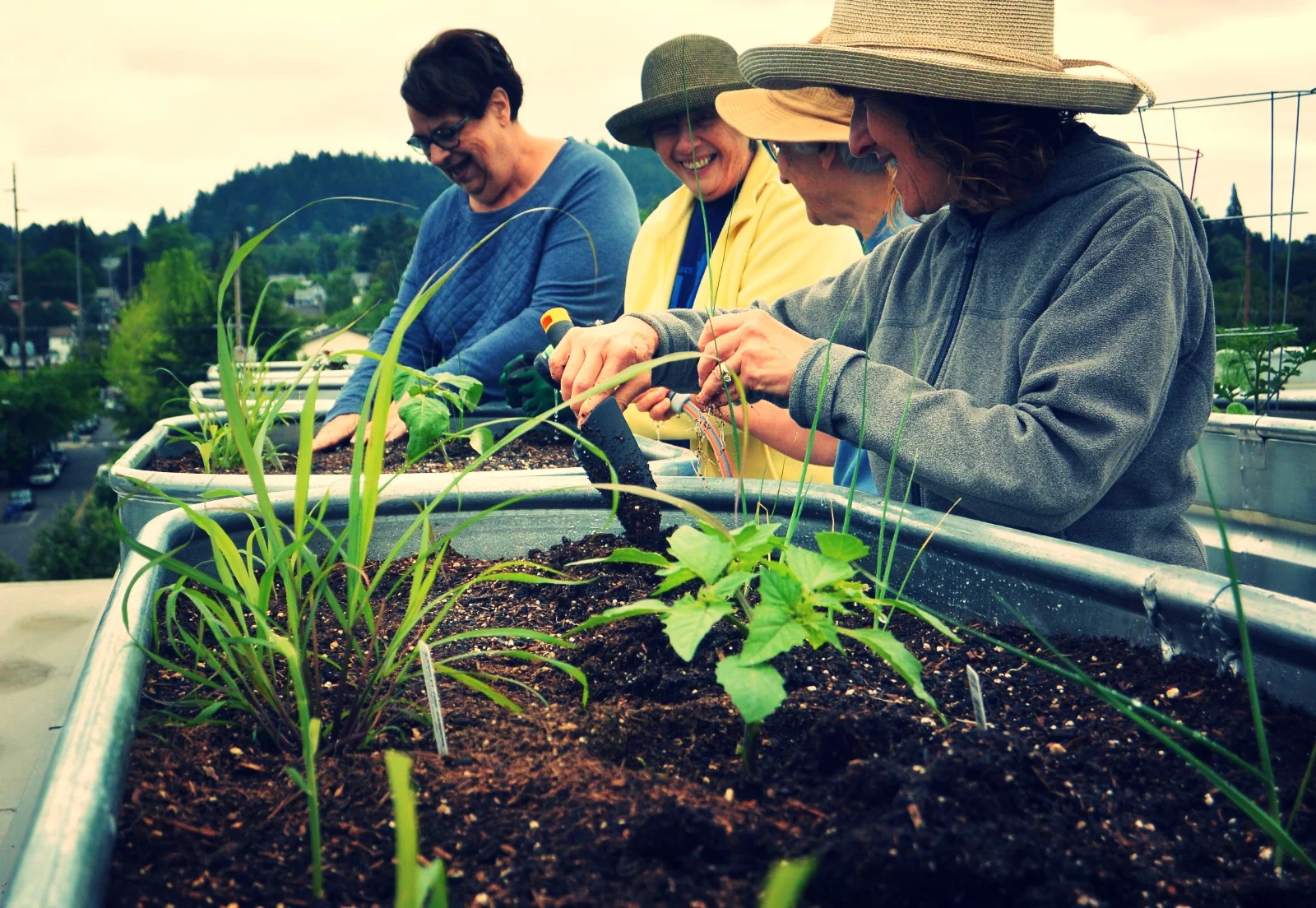 COHOUSING-PDXCOMMONS.jpg