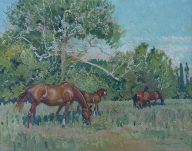 "Thoroughbred Horse Pasture"