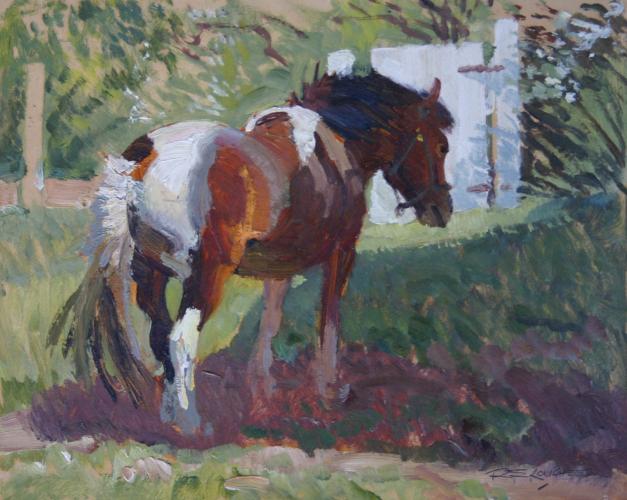 "Tony The Shetland Pony"