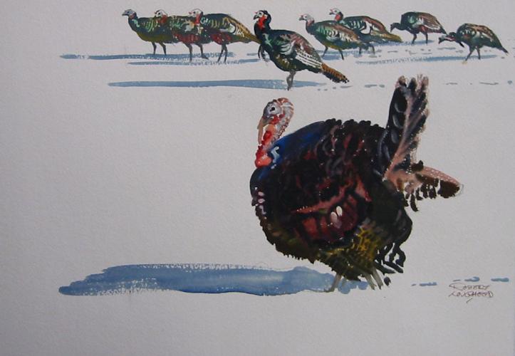 "Turkeys Sketch II"