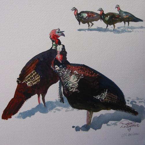 "Turkeys Sketch"