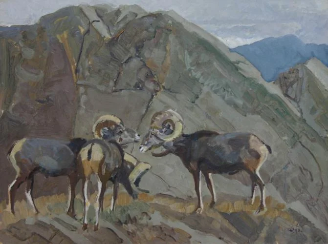 "Stone Sheep"