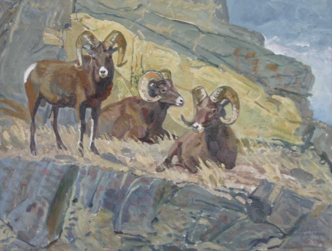 "Stone Sheep In Rocks"