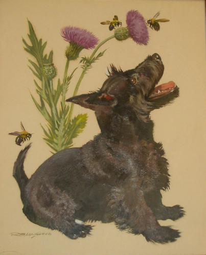 "Scottish Terrier"