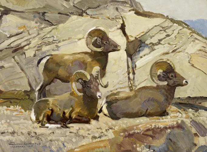 "Okanagan GF, BC - Sheep"
