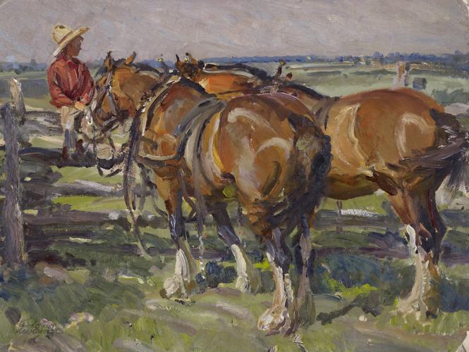 "On The Fence"