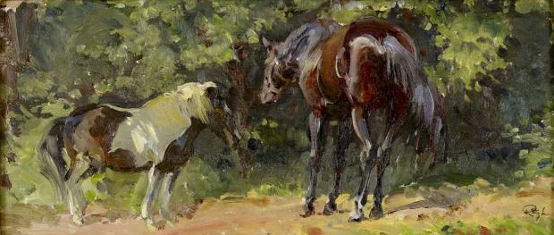 "Pony & Horse"