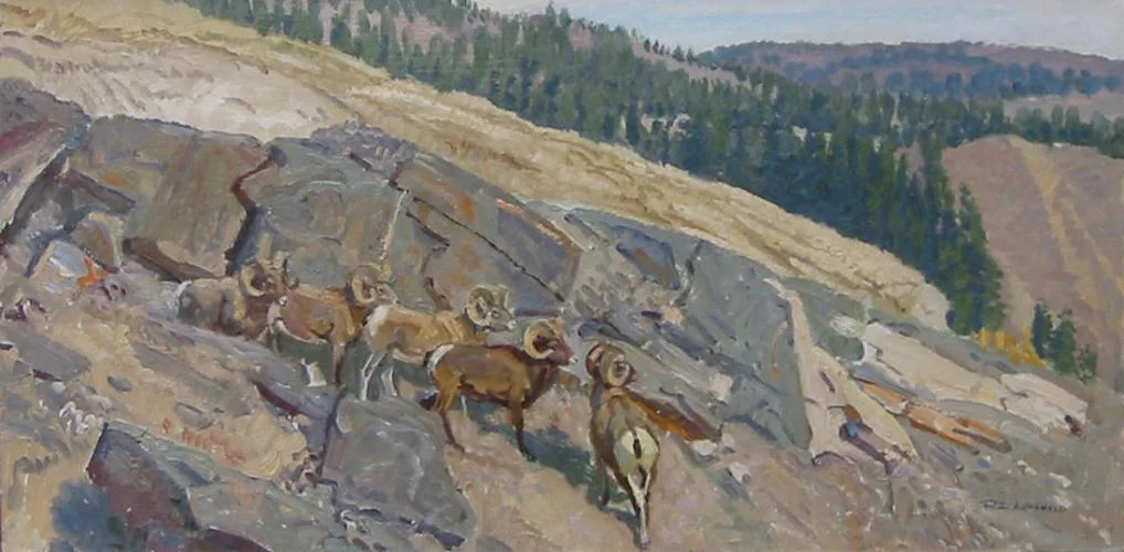 "Five Bighorn Sheep"