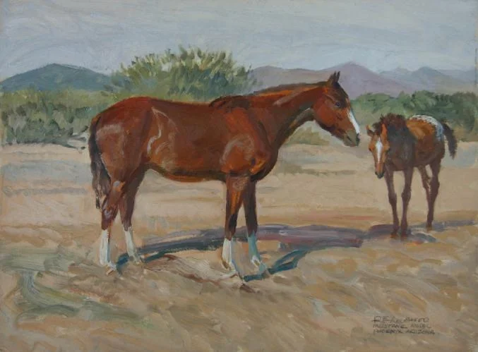 "Copper Jubilee & Palddinaro Mustangs"