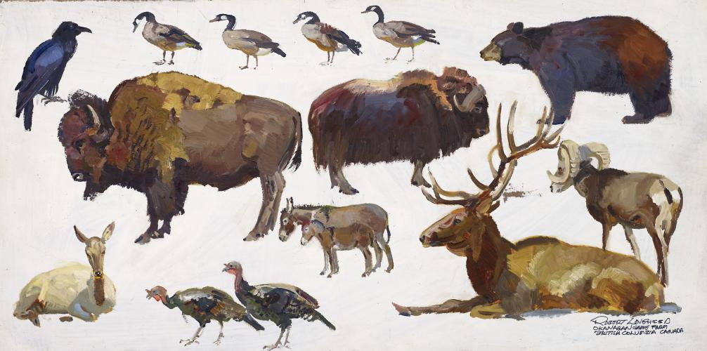 "Animal Sketches - Okanagan Game Farm"