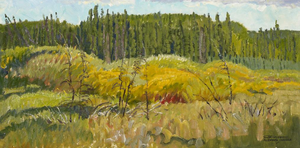 "At The Edge Of The Woods, Alberta"
