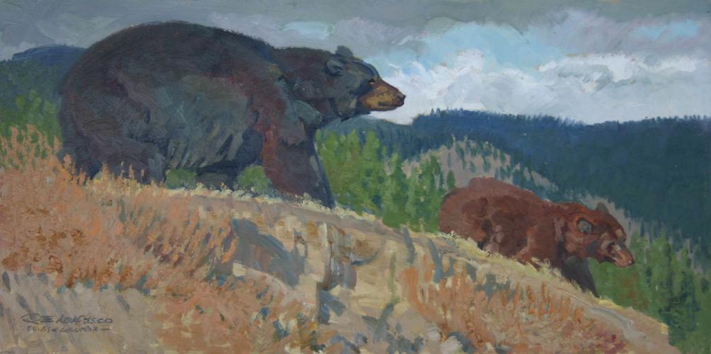 "A Black Bear Family"