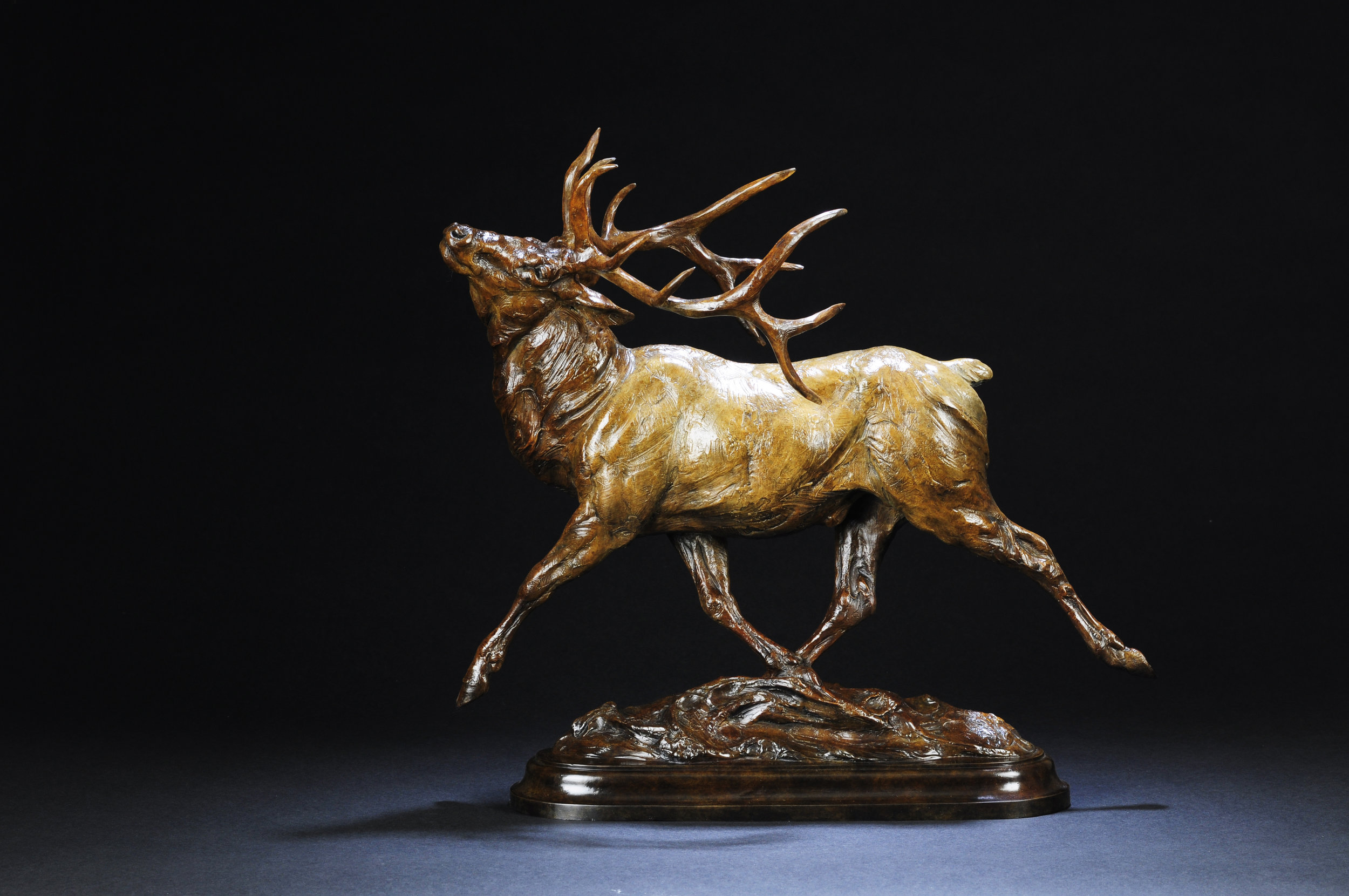 "Wapiti"