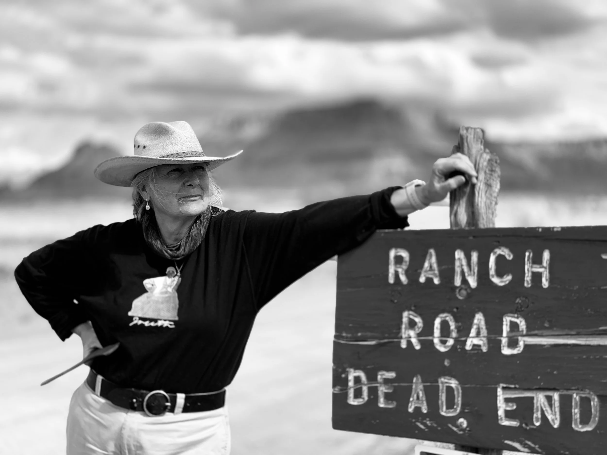 Artist Focus: Jane DeDecker