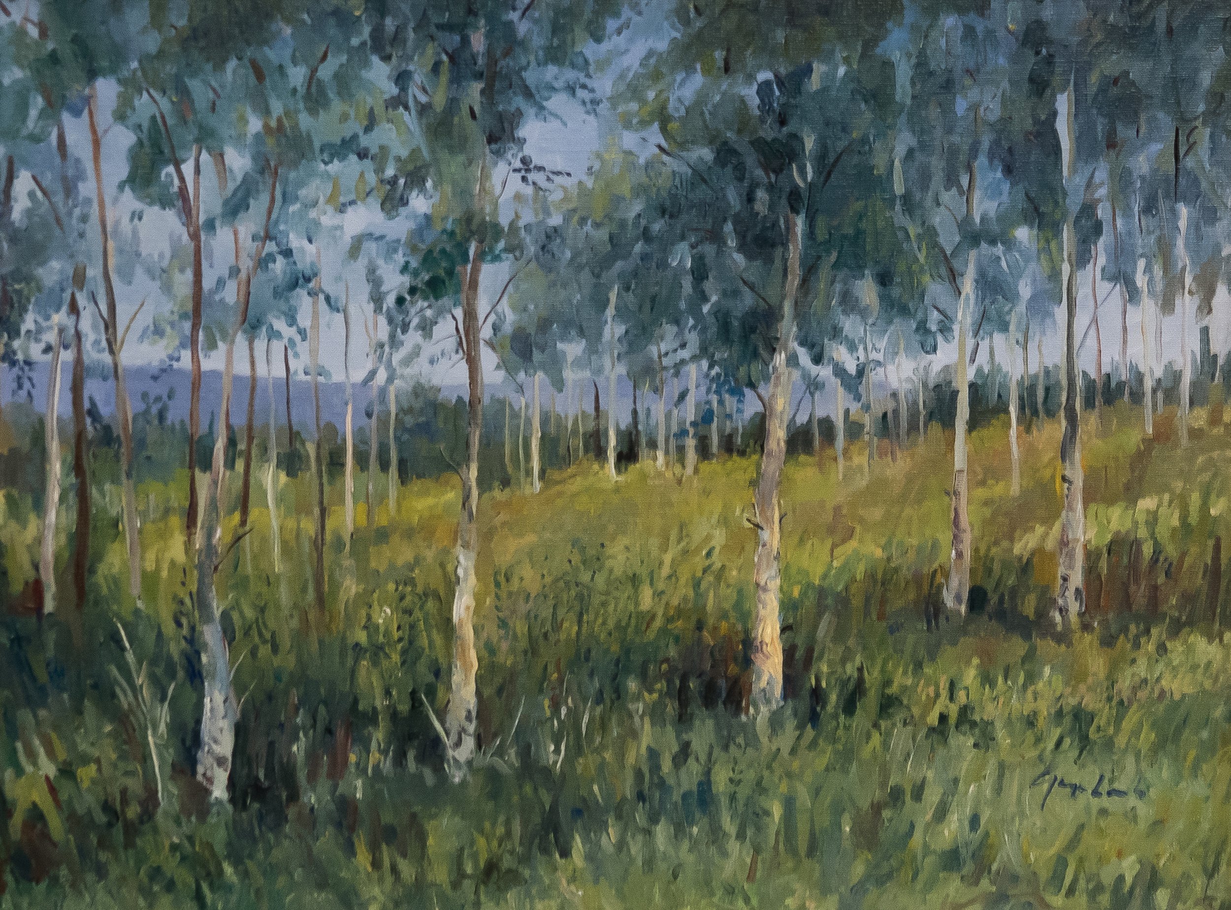 "Aspen Grove"