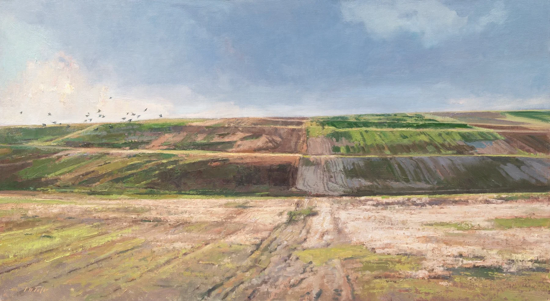"Spring Field"