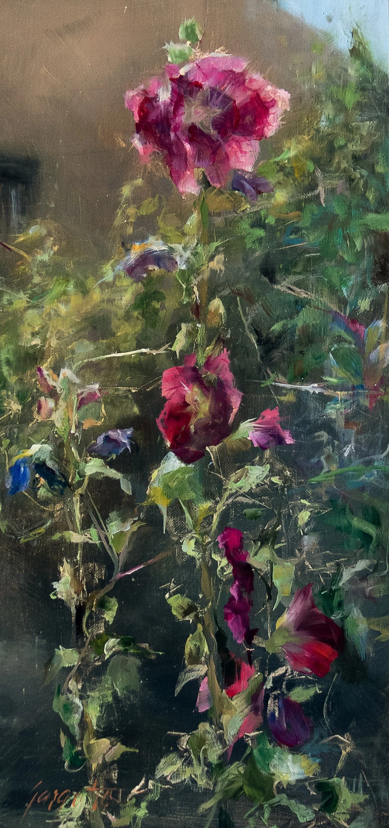 "Taos Hollyhocks"
