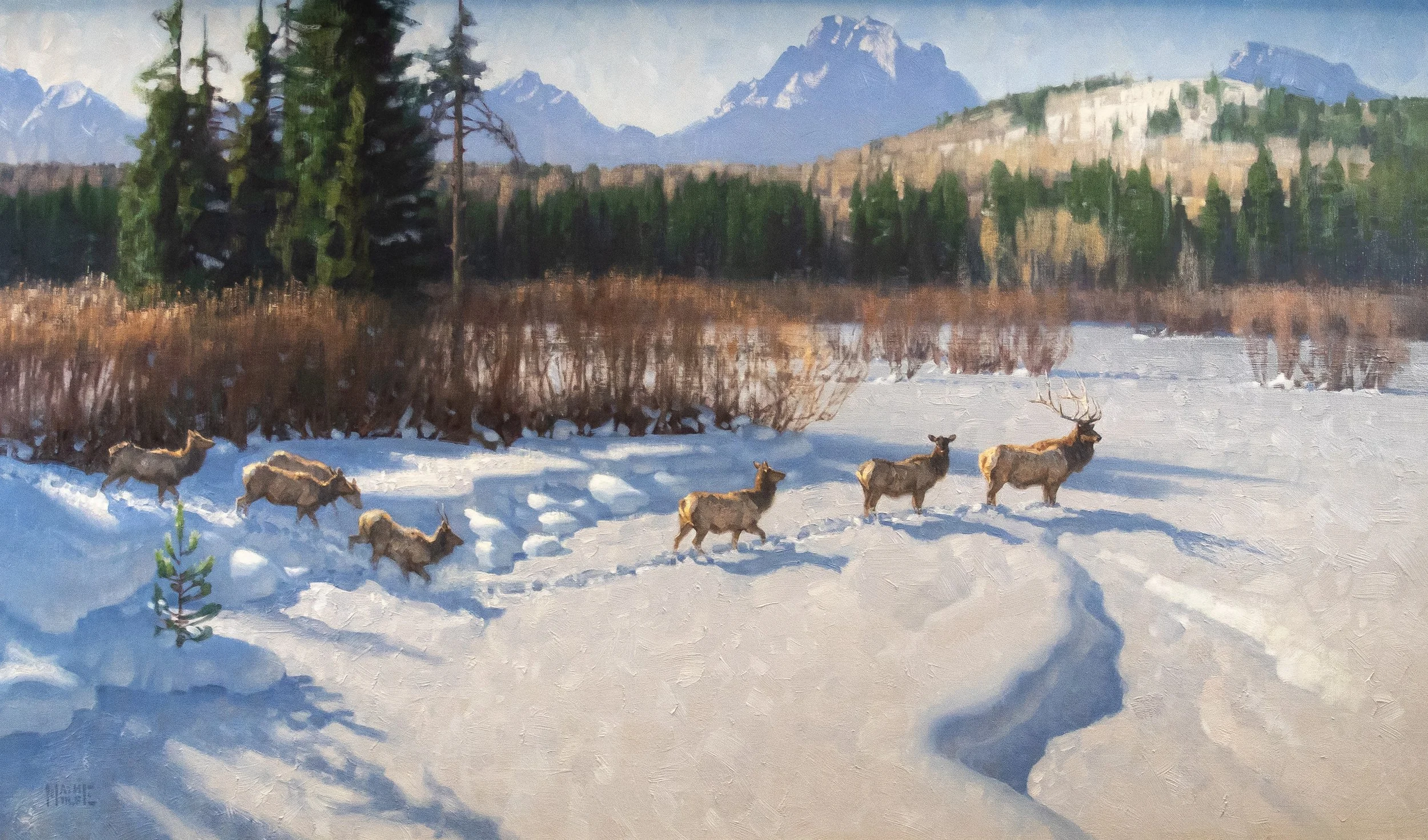 "Teton Trail Breakers"
