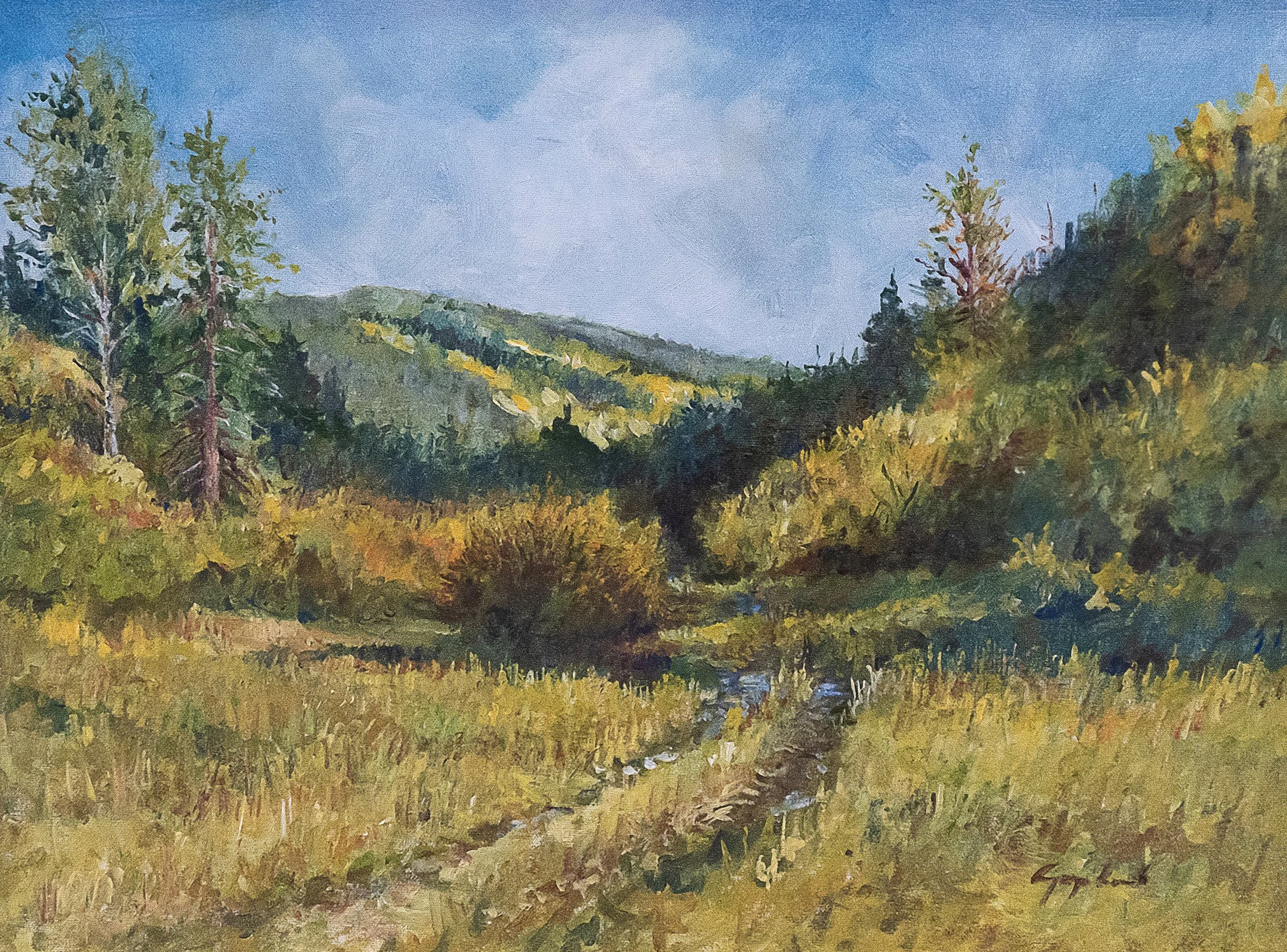 "A Path Less Traveled"