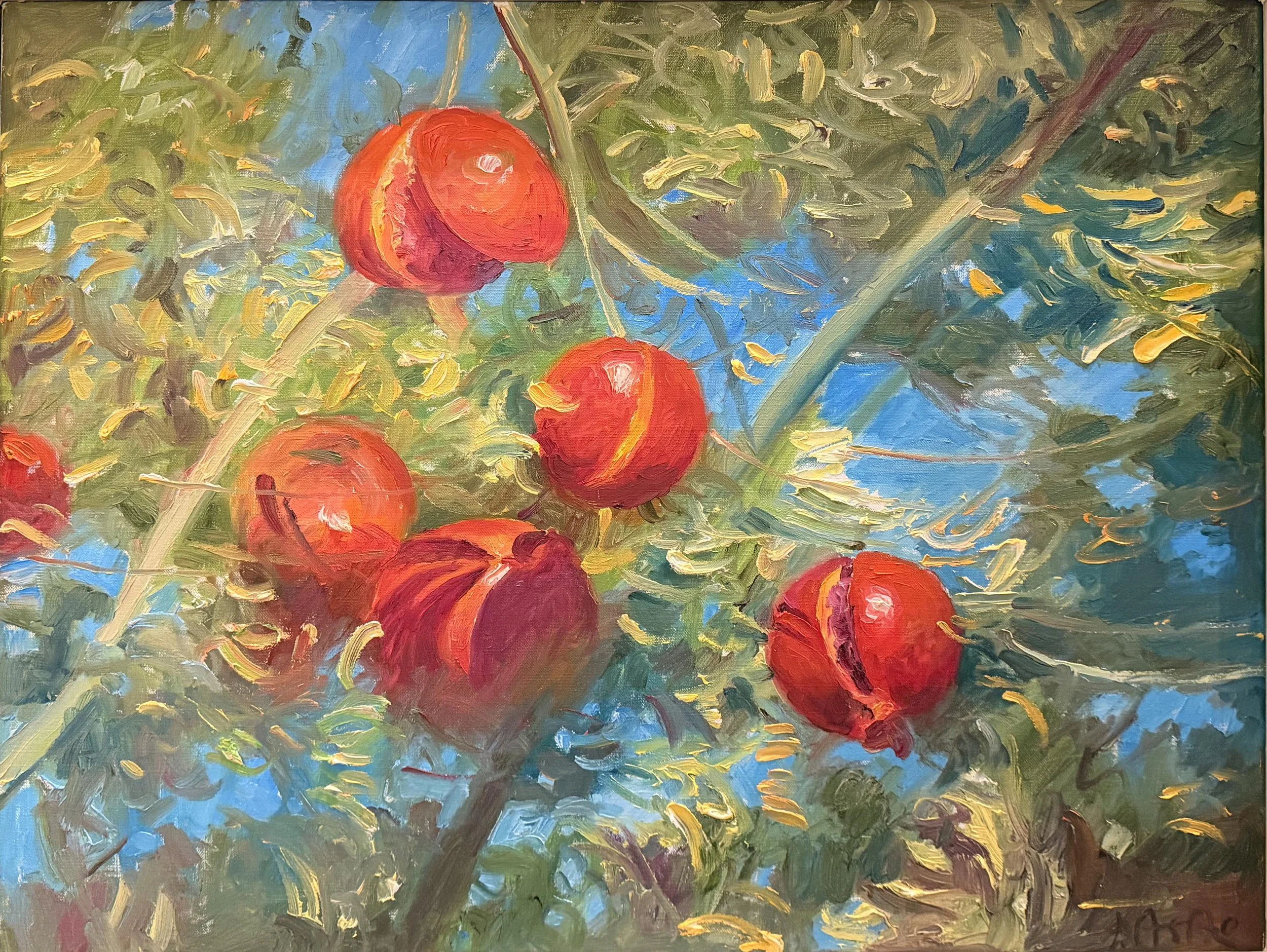 "Pomegranates"