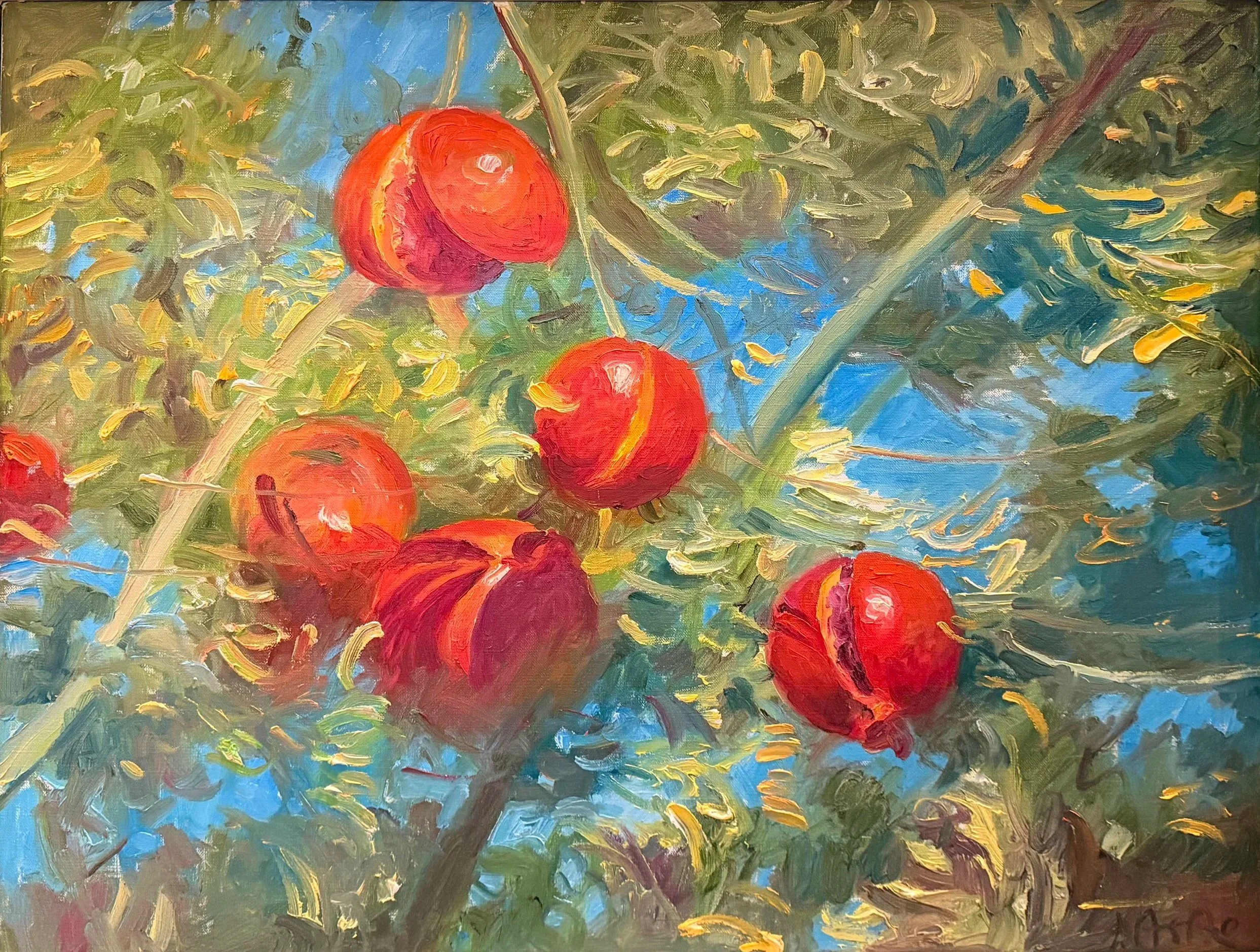 "Pomegranates"