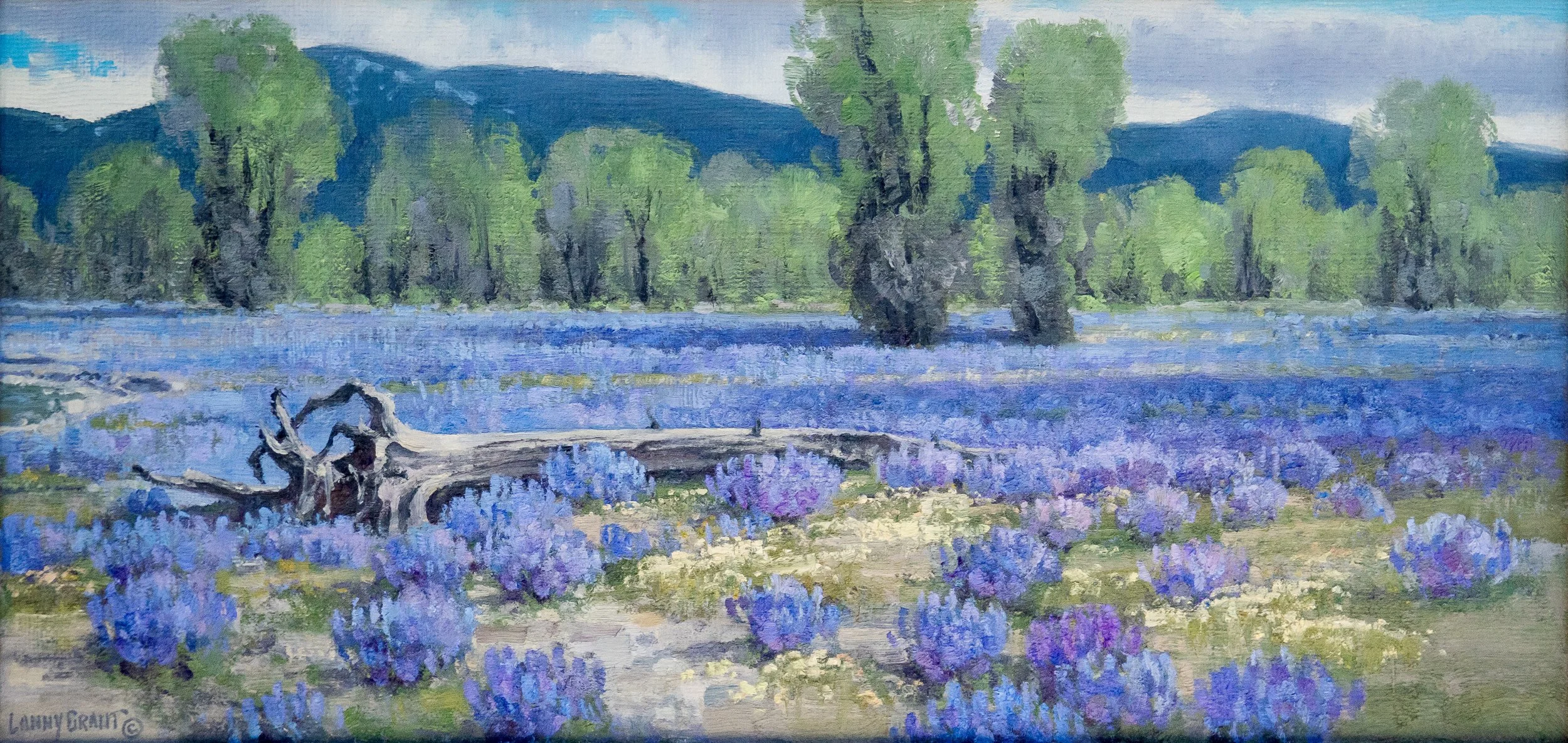 "Spread Creek Lupine"
