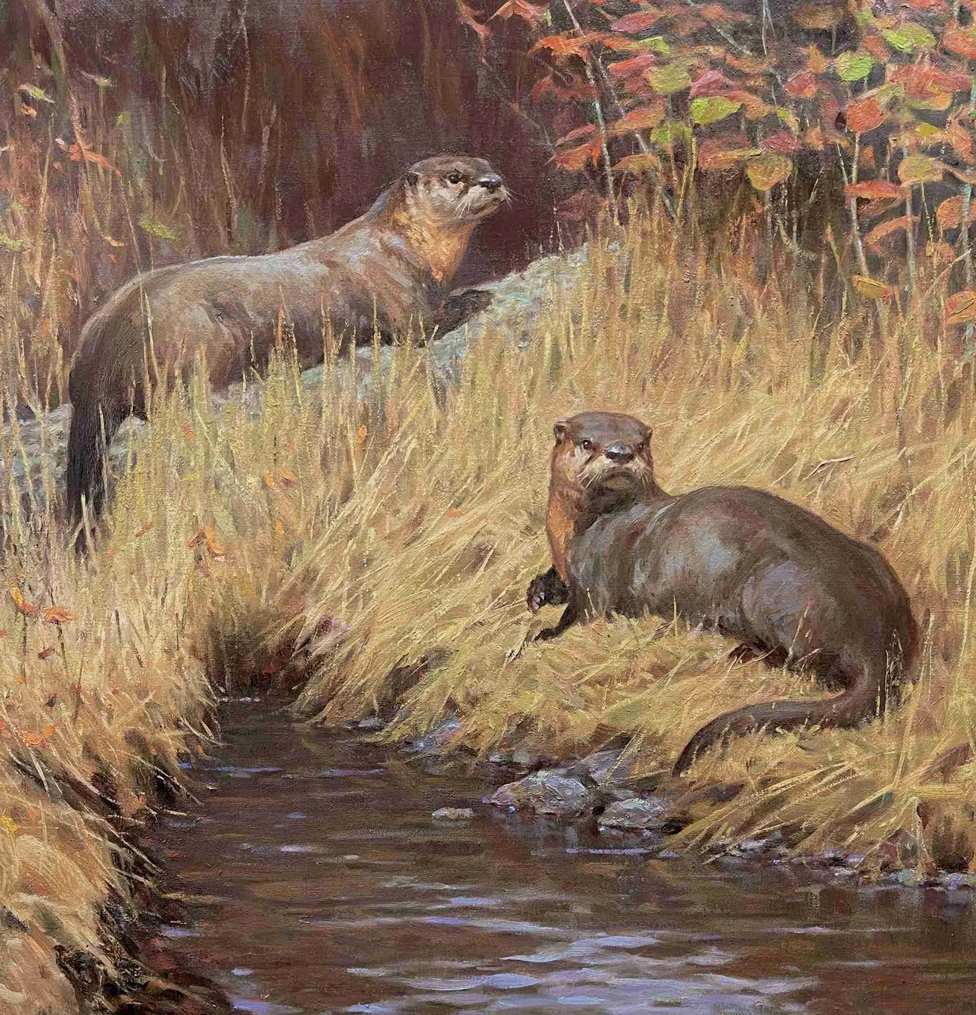"Along a Quiet Creekside — River Otters"