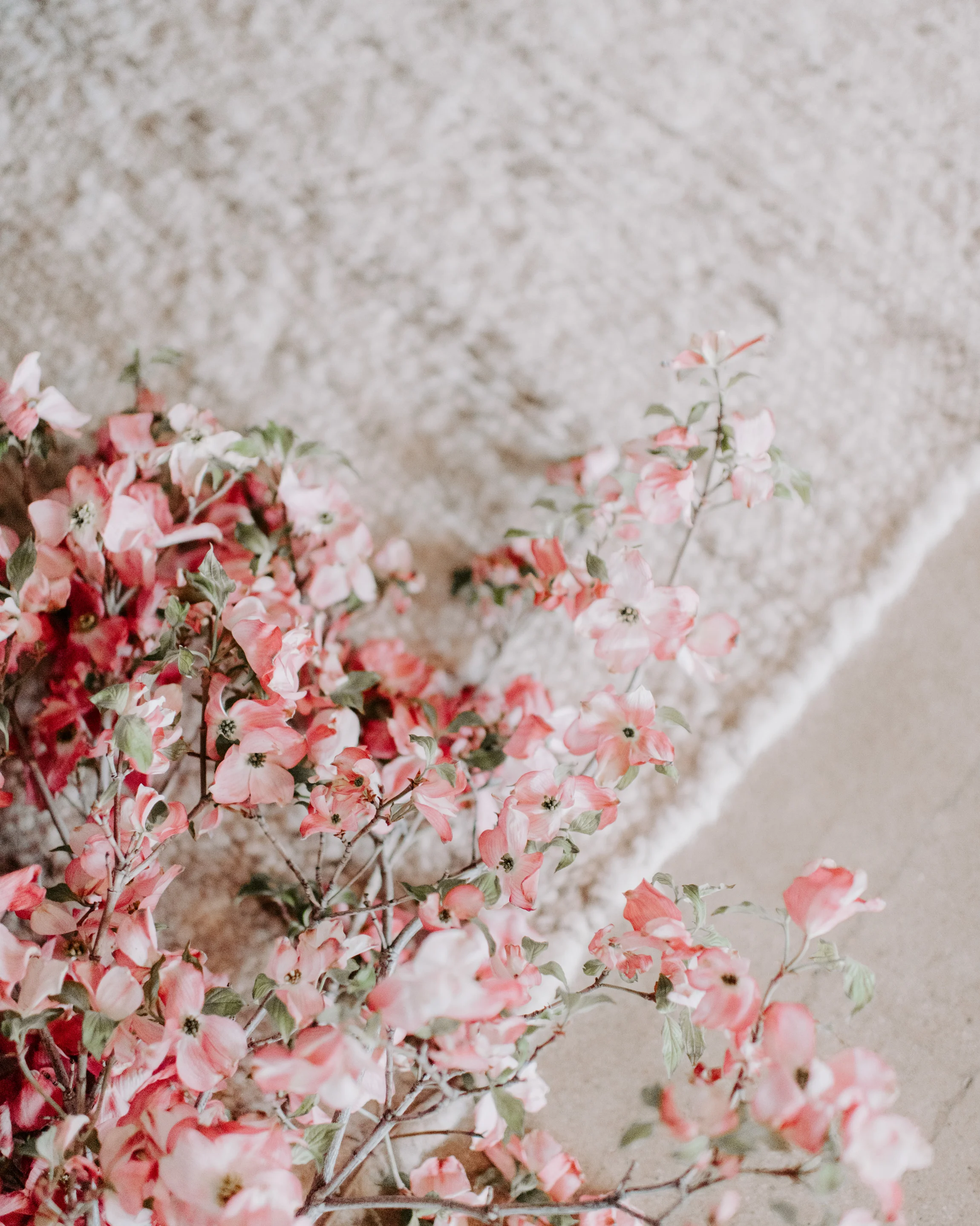 LaPorte-May-2018-20.jpg