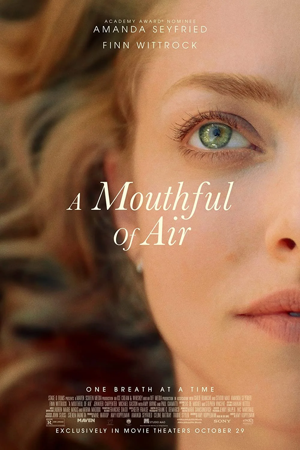 Film Director Amy Koppelman on Writing and Directing "A Mouthful of Air" Starring Amanda Seyfried and on Maternal Depression and Suicide