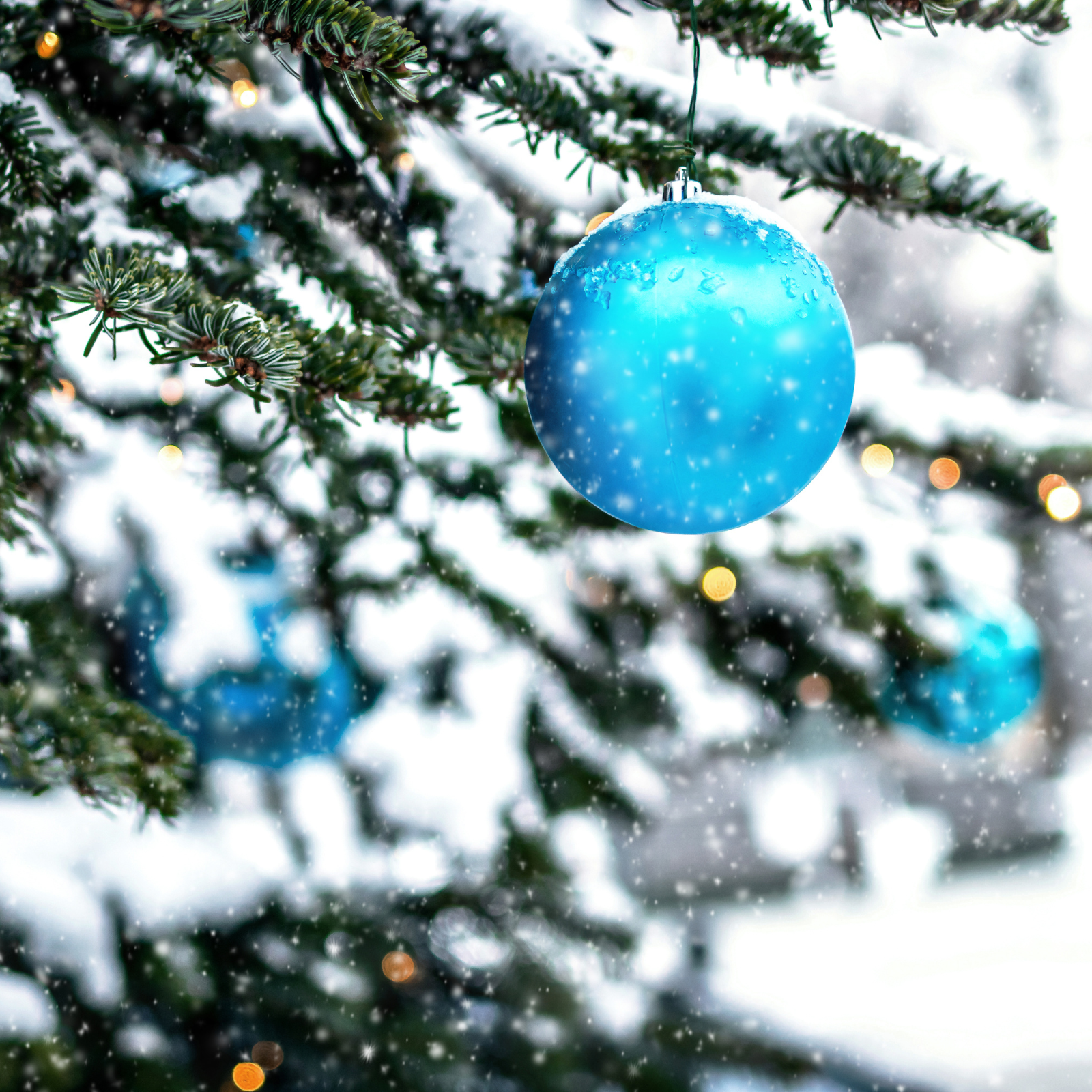 Welcome the New Year with a Mindful Meditation: Refresh and Renew Your Spirit