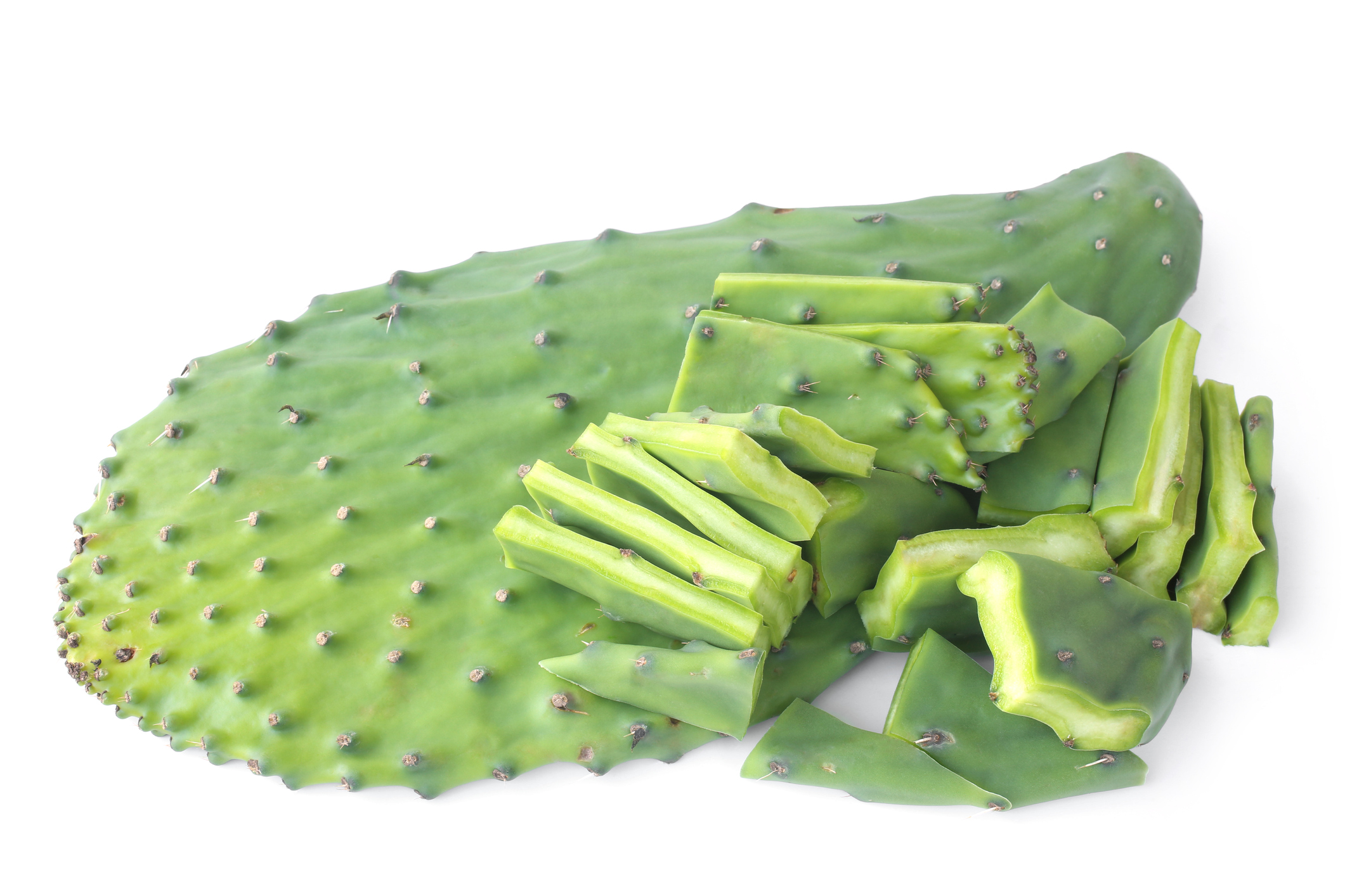 Cactus Leaves/Nopales