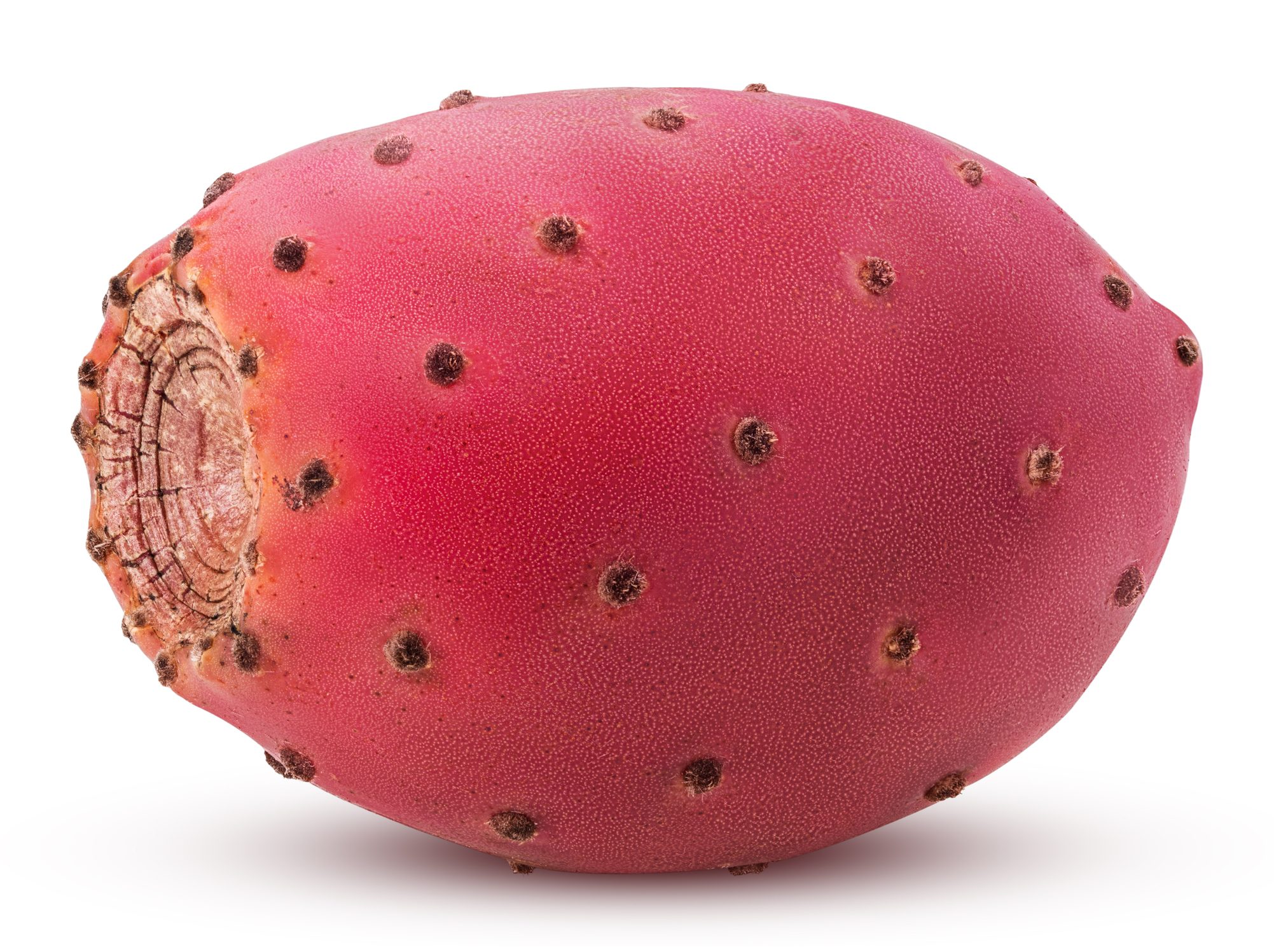 Red Cactus Pears
