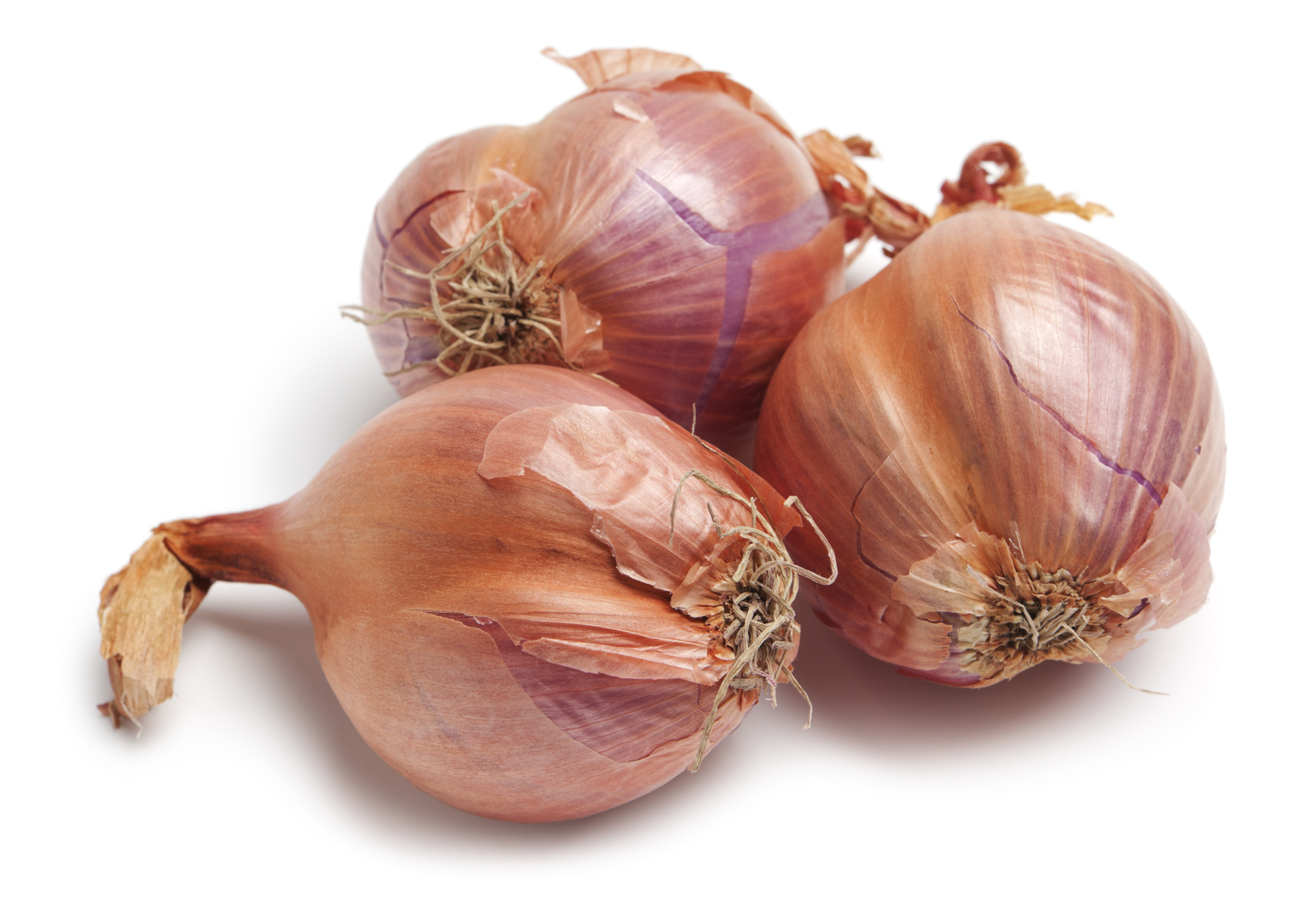 Shallots