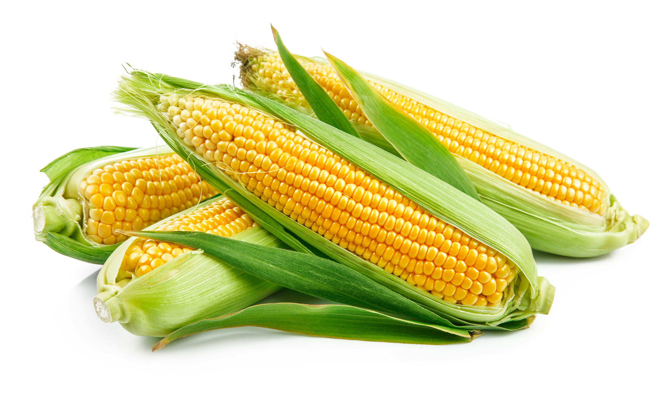 Yellow Corn