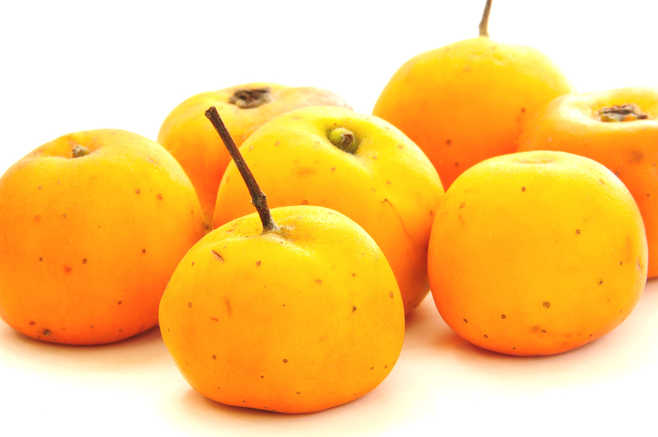 Tejocote