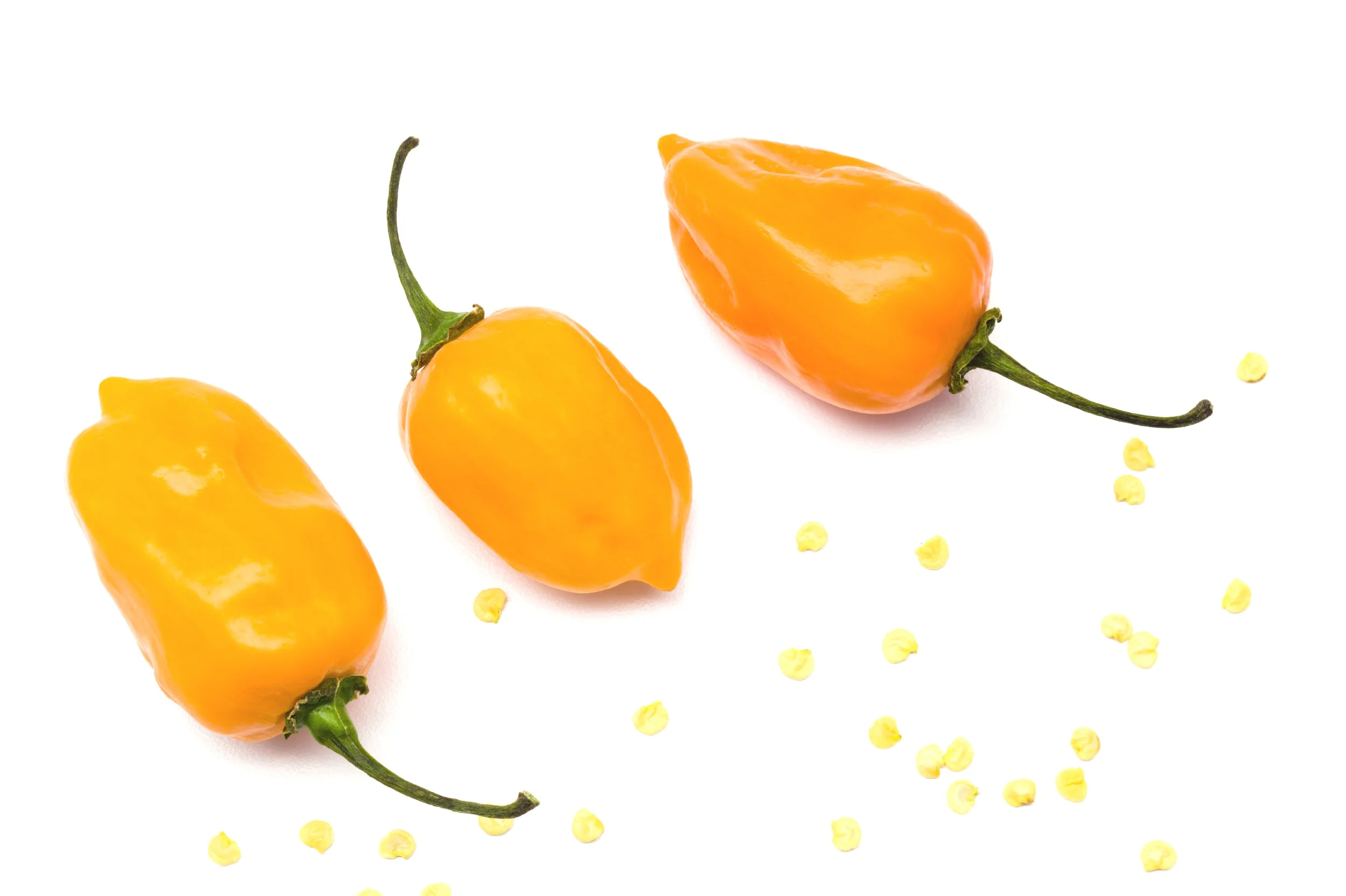 Habanero