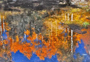 TH_FallReflection_300.jpg