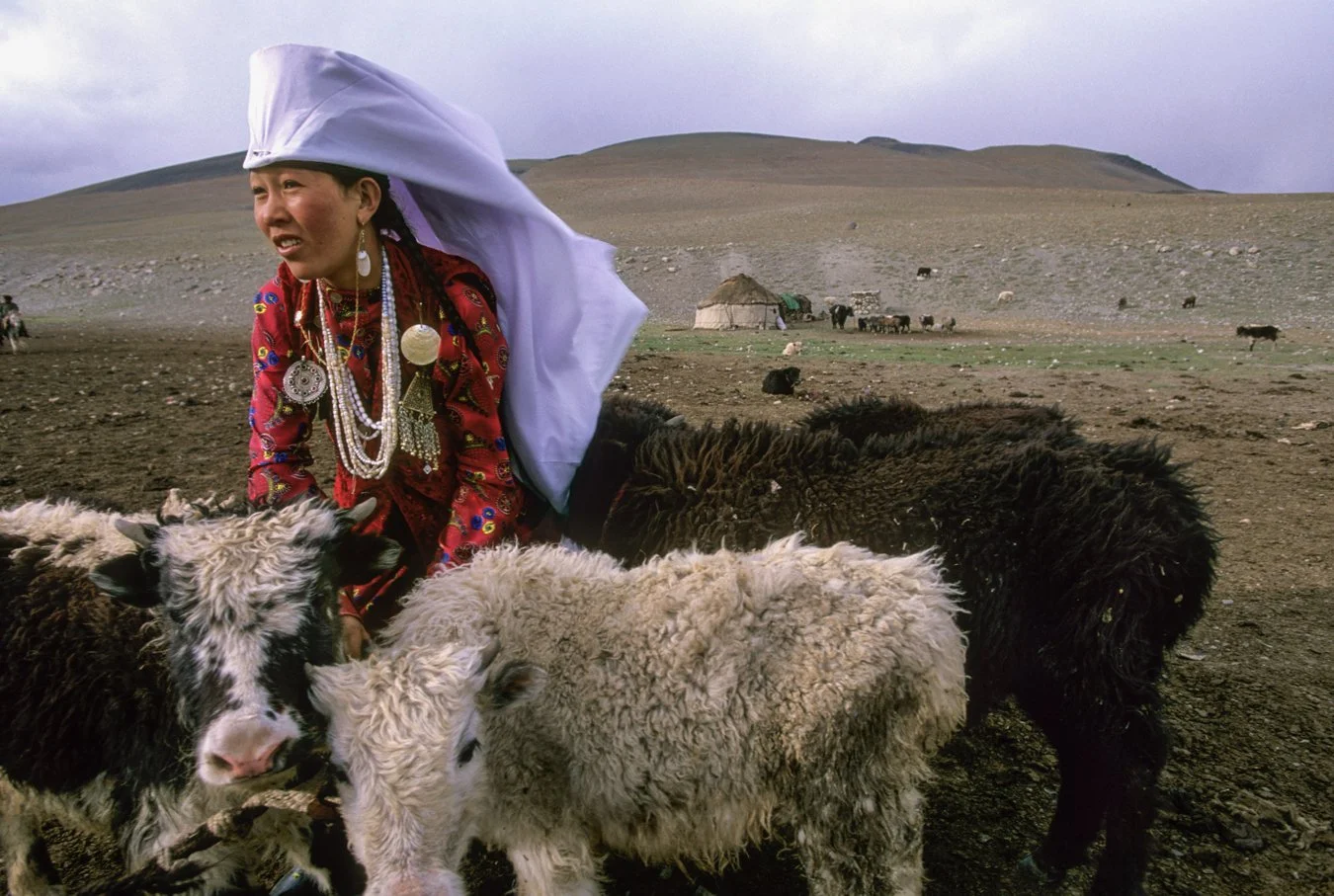 Beth-Wald_Kyrgyz-woman-and-yaks_Afghan-Pamirs.jpg