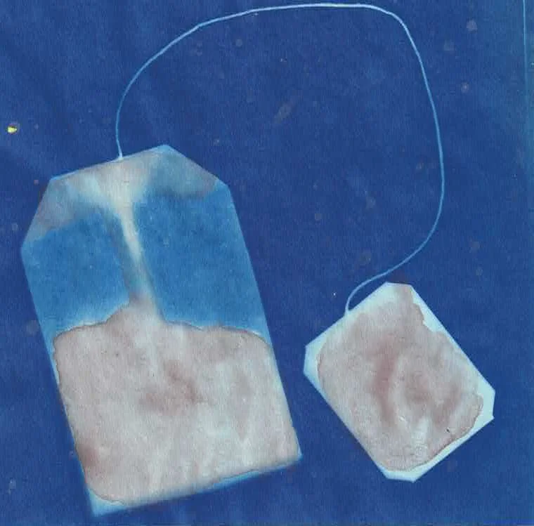 Paul-Roberts_Cyano-teabag_crop.jpg