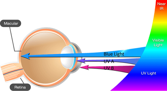 Is It True That Blue Eyes Are More Vulnerable to UV Damage?