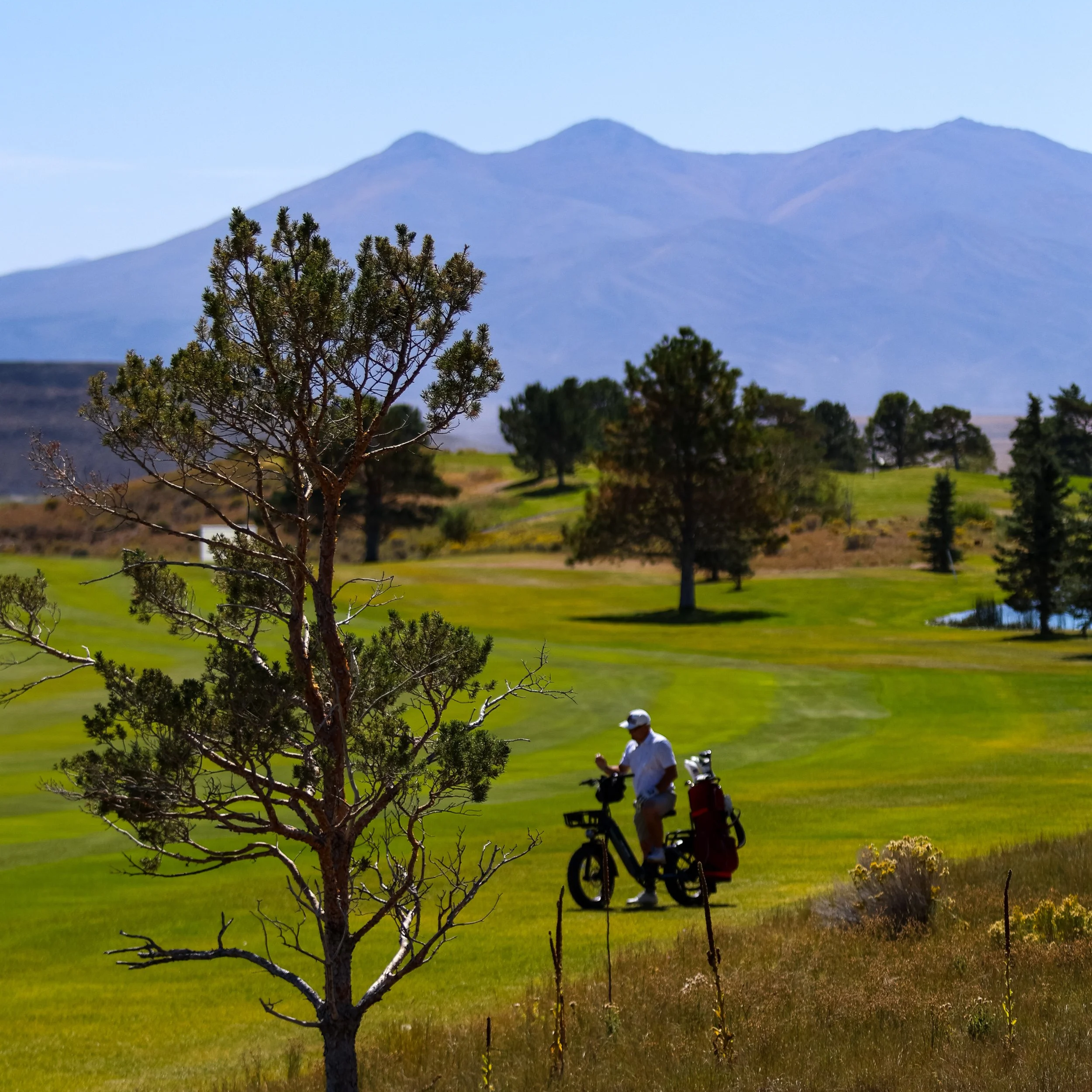 Lee Reed Wins Second Mid-Amateur