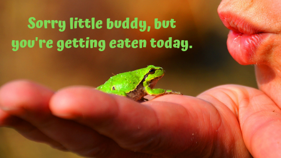 Eat the Frog-3.png